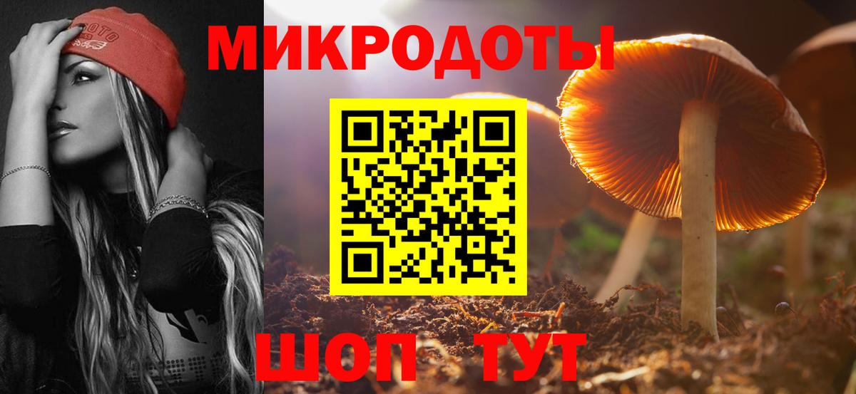 Псилоцибиновые грибы Psilocybe Чистополь